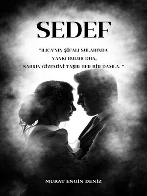 cover image of SEDEF